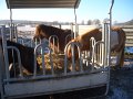 Winter1011 (73)